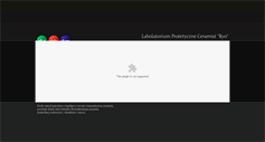 Desktop Screenshot of ceramist.pl